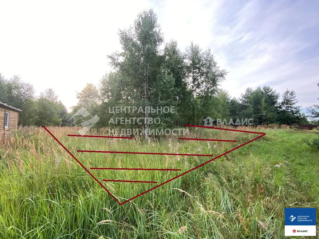Продажа участка, Фролово, Клепиковский район - Фото 6