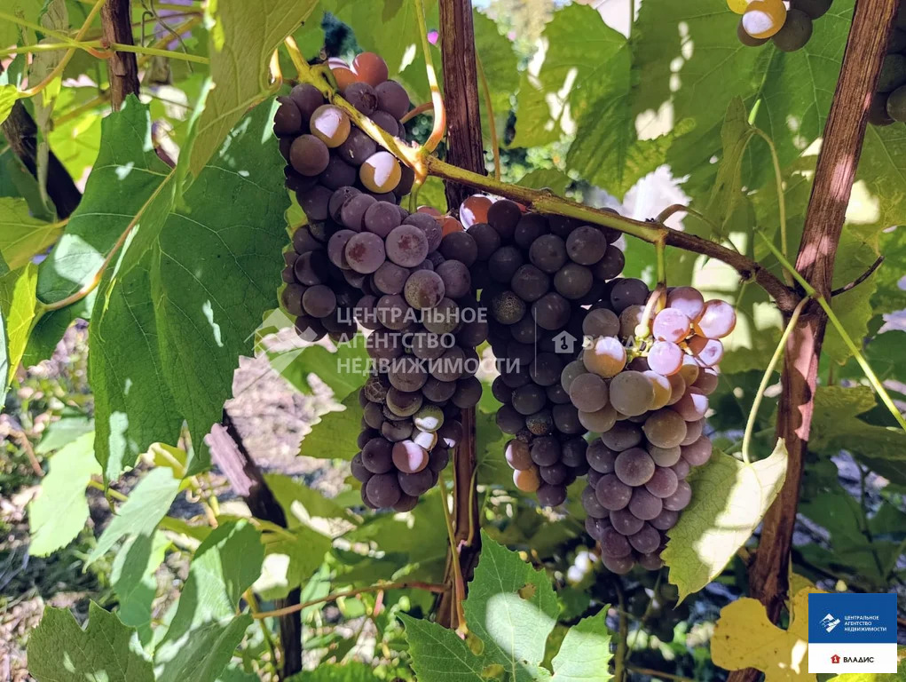 Продажа дома, Горяйново, Рыбновский район, 19 - Фото 36