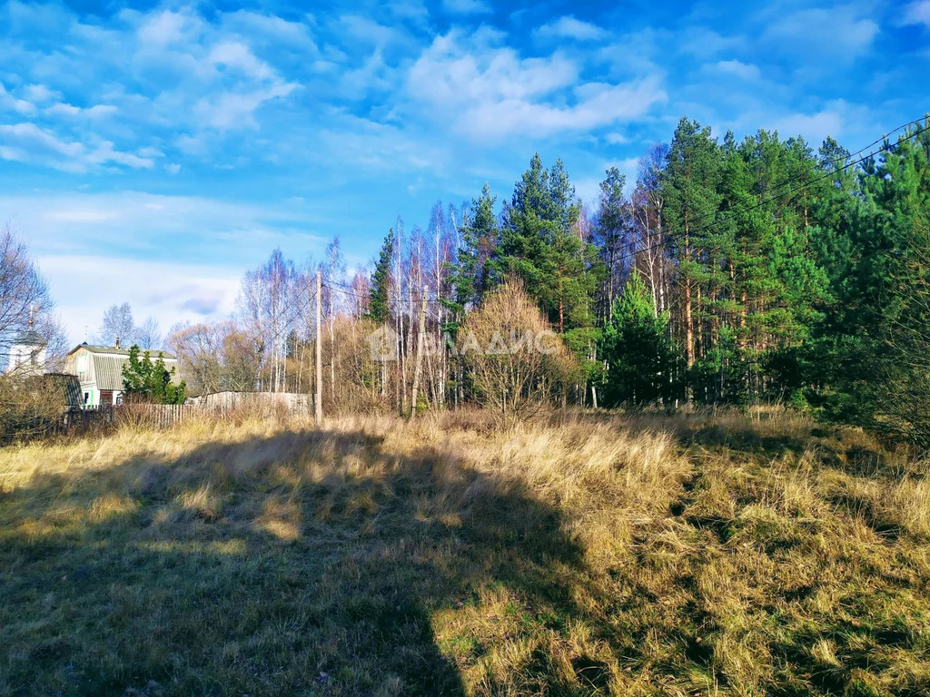 Судогодский район, село Спас-Беседа, Полевая улица,  земля на продажу - Фото 5