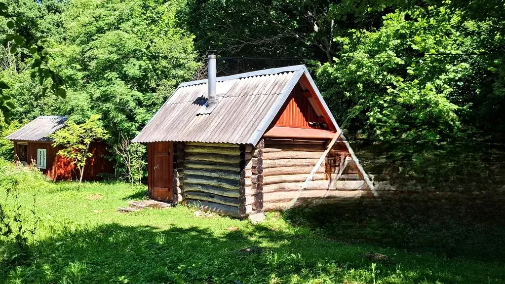 Очень уютный хуторок в лесной роще под Псковом - Фото 8