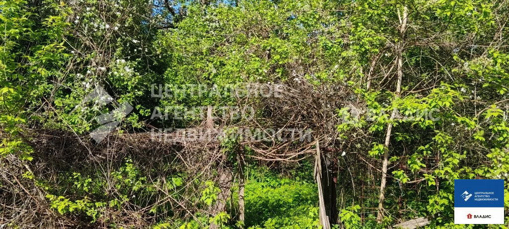 Продажа участка, Семено-Оленинское, Рязанский район, ул. Лесная - Фото 9
