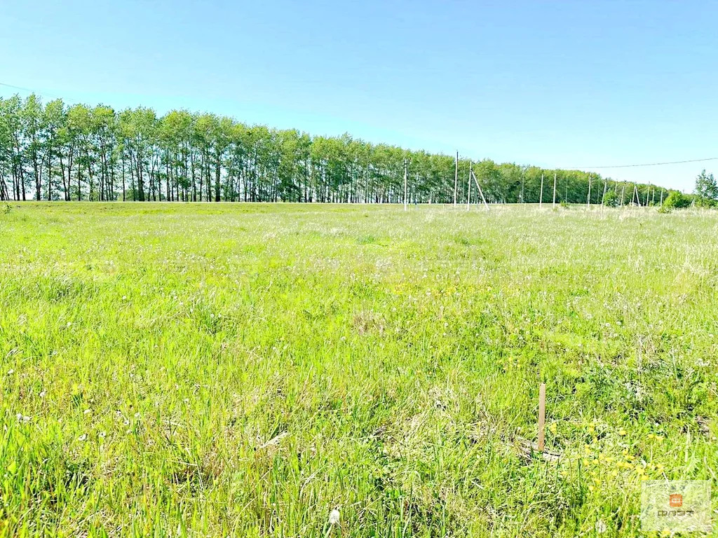 Продажа участка, Тетюши, Тетюшский район, ул. Дряничкина - Фото 2