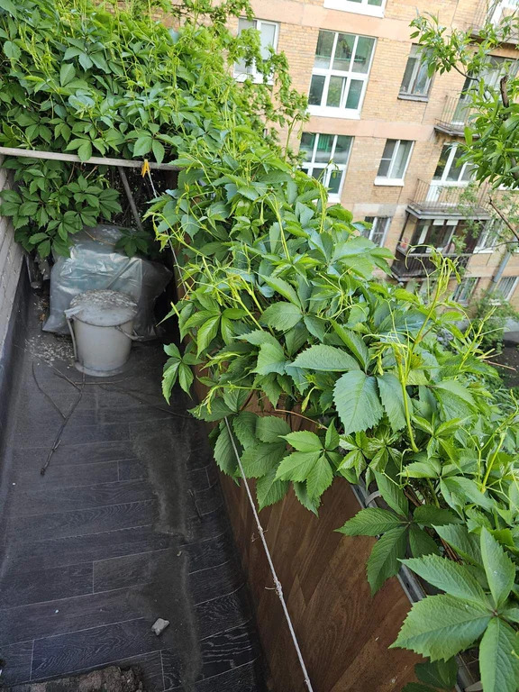 Продам 3-комн. квартиру 57 кв.м. - Фото 8