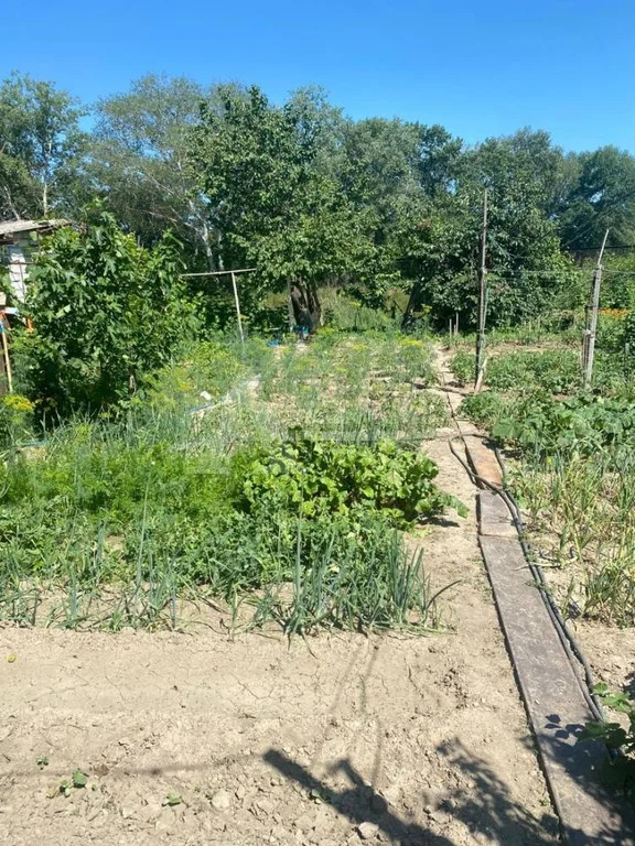 Продажа дома, Зеленокумск, Советский район, ул. Кумская - Фото 12