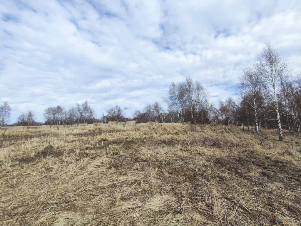 Продажа земельного участка, Алешня - Фото 2