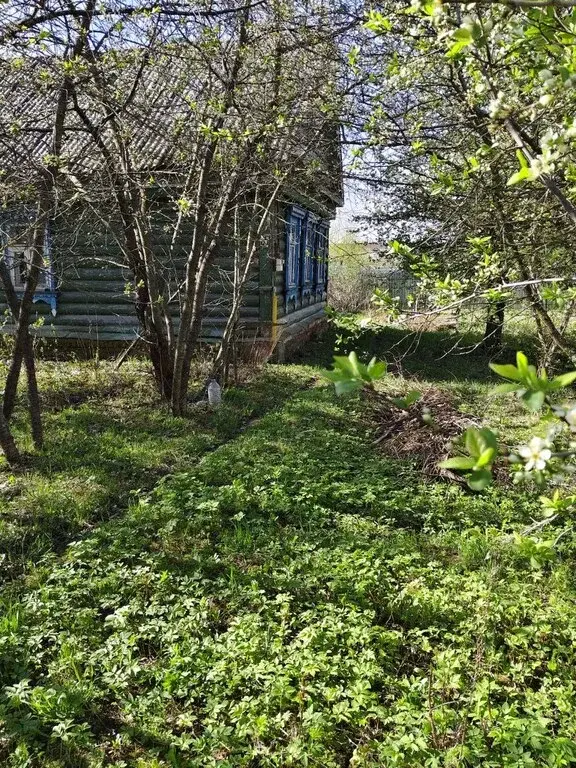 Продается земельный участок в д. Беляниново, г.о. Мытищи - Фото 2