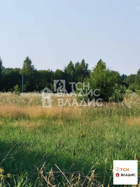 Можайский городской округ, село Борисово,  земля на продажу - Фото 4