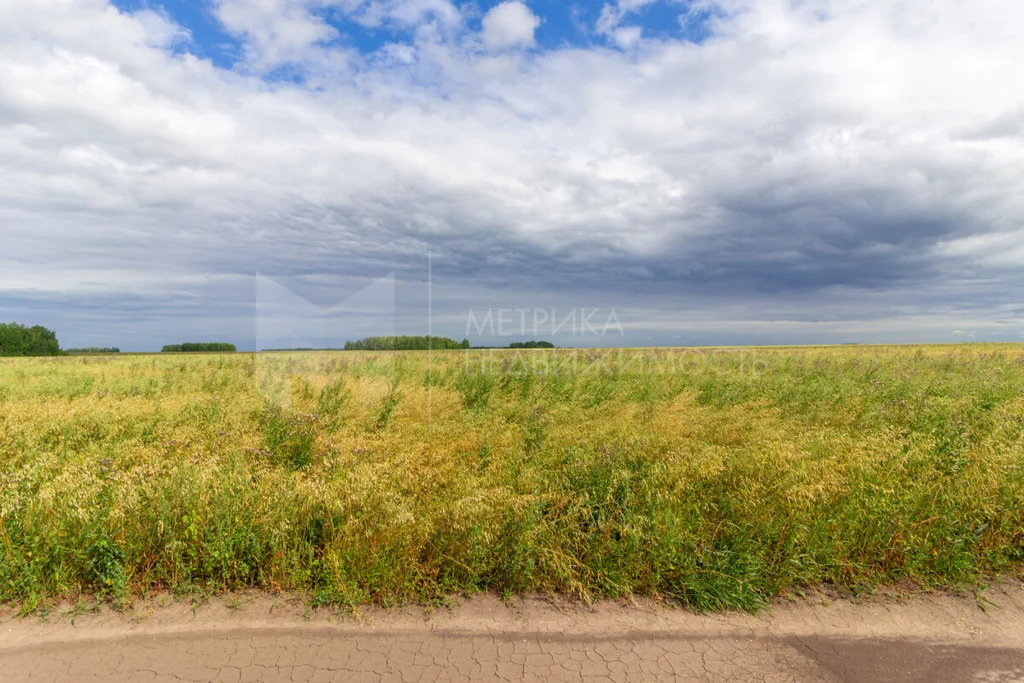 Продажа земельного участка, Тюменский район, Тюменский р-н - Фото 3