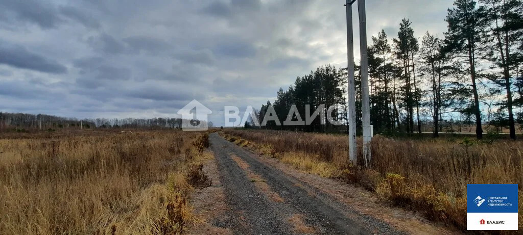 Продажа участка, Семкино, Рязанский район - Фото 9