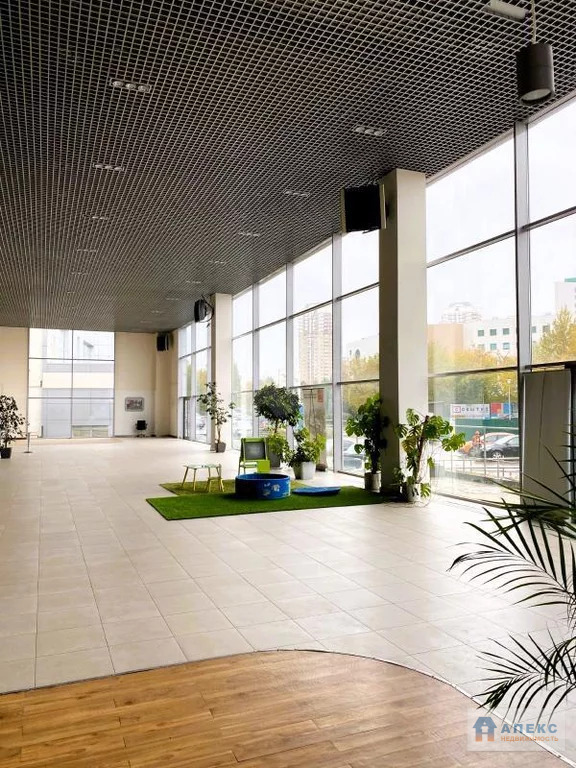 Продажа помещения пл. 18341 м2 под производство, автосервис, склад, , ... - Фото 8
