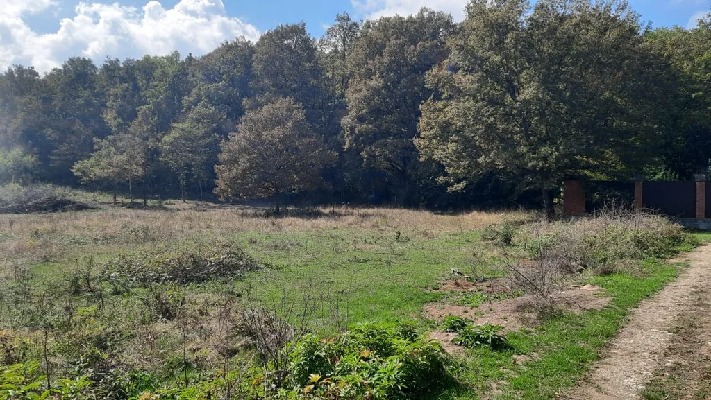 Продажа участка, Шапсугская, Абинский район, ул. Луговая - Фото 5