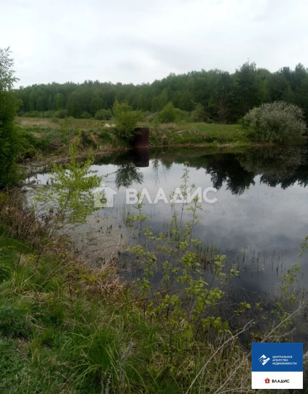 Продажа участка, Шиловский район - Фото 12
