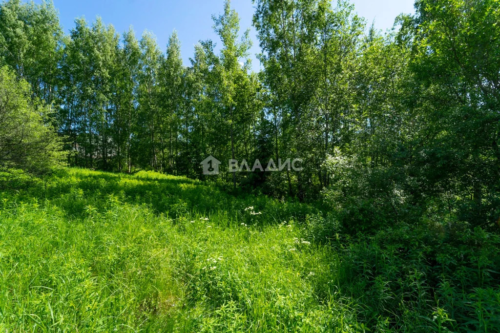 Всеволожский район, деревня Куялово, Солнечная улица, земля на . - Фото 5