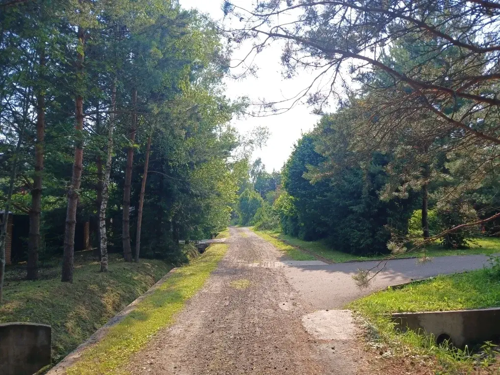 Продаю дом в д. Кезьмино - Фото 36