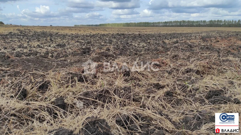 Продажа участка, Хохольский, Хохольский район, ул. Дорожная - Фото 1