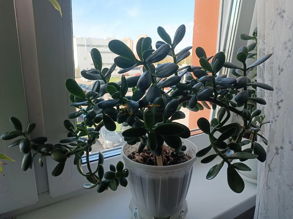 Аренда квартиры, Уфа, ул. Богдана Хмельницкого - Фото 4