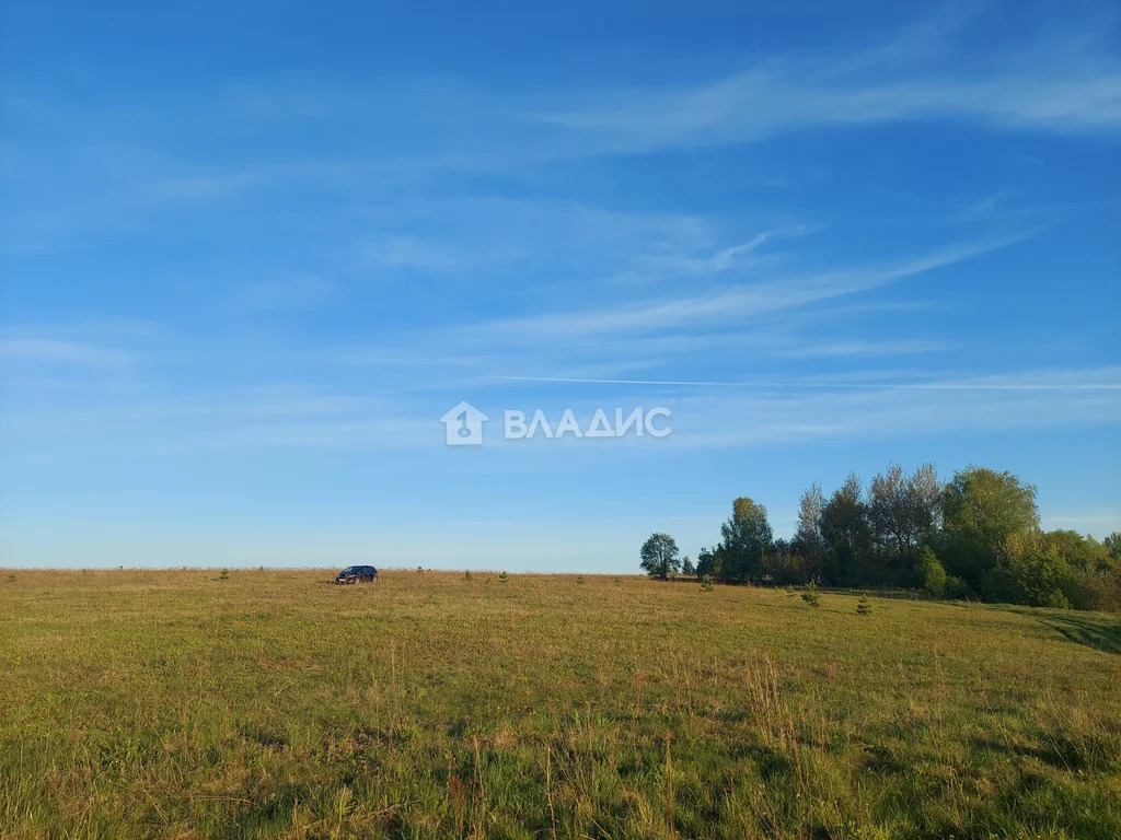 Земельный участок на продажу, Юрьев-Польский район, село Небылое, ... - Фото 5