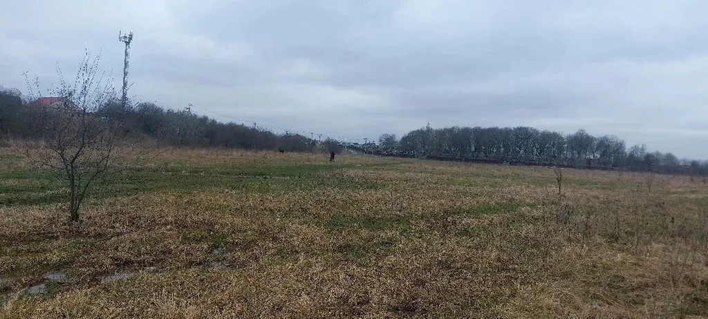 Продажа участка, Новодмитриевская, Северский район, улица Победы - Фото 4