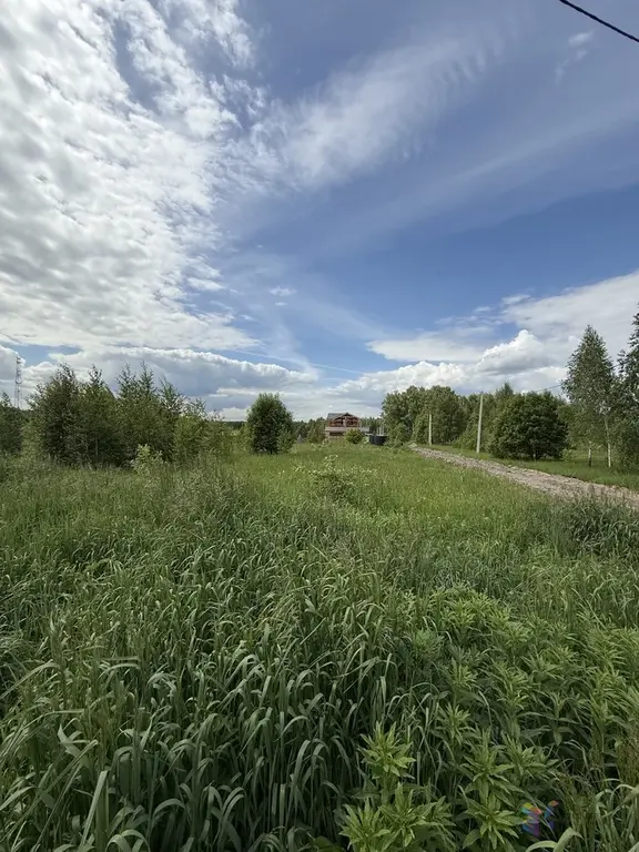 Продаю участок 12 соток под ПМЖ, д. Беспятово, Ступинский район. - Фото 13