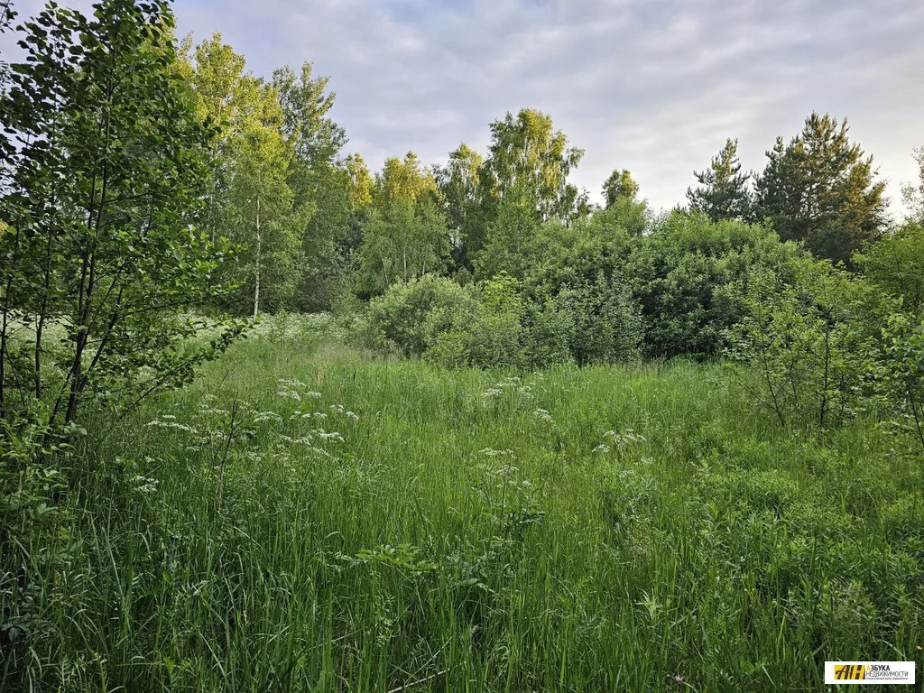 Продажа участка, Карабаново, Богородский г. о. - Фото 9