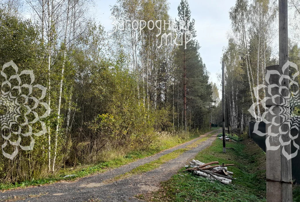 Продам участок, Дмитровское шоссе, 85 км от МКАД - Фото 13