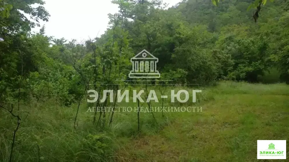 Продажа участка, Ольгинка, Туапсинский район, Ореховая роща ул. - Фото 4