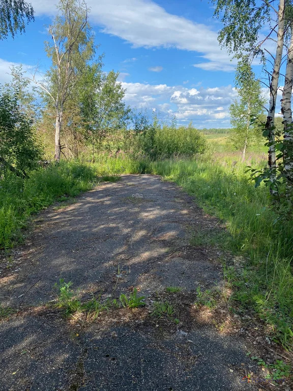 Продажа участка, Михайловское, Волоколамский район - Фото 3