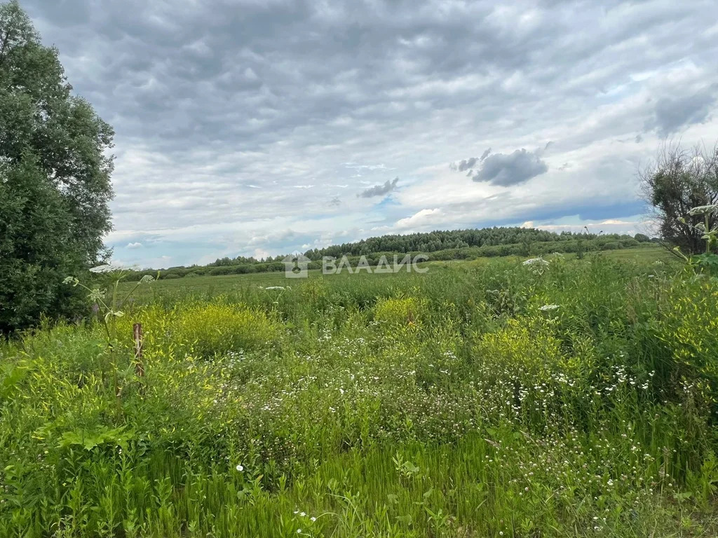 Раменский городской округ, деревня Паткино,  дом на продажу - Фото 24