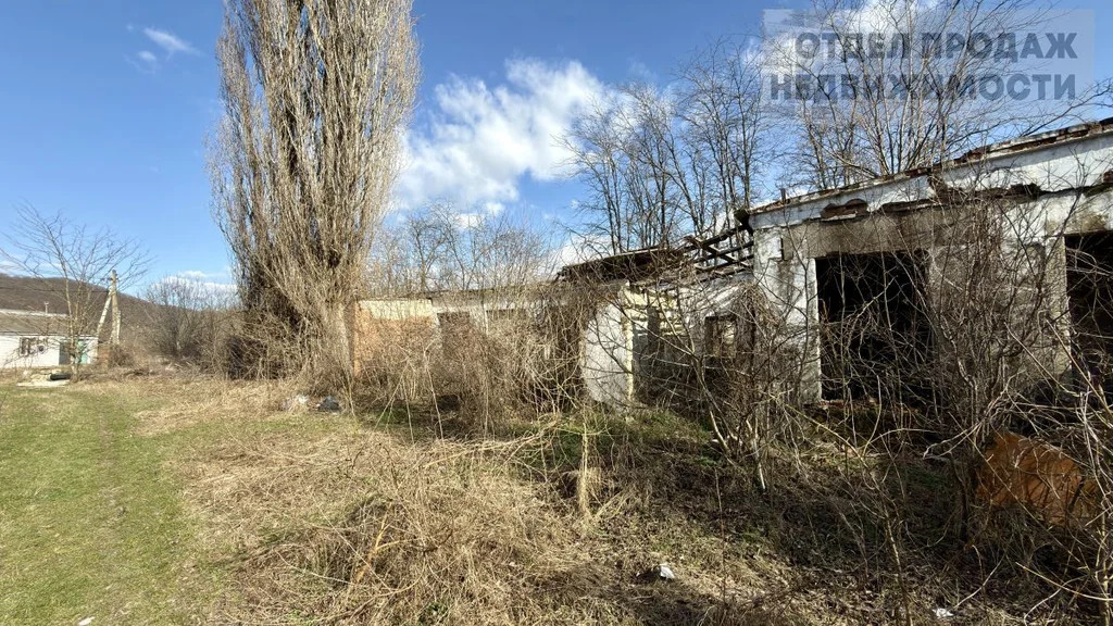 Большой участок - Фото 6