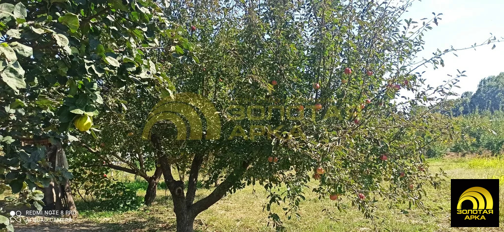 Продажа дома, Прикубанский, Красноармейский район, Набережная улица - Фото 14