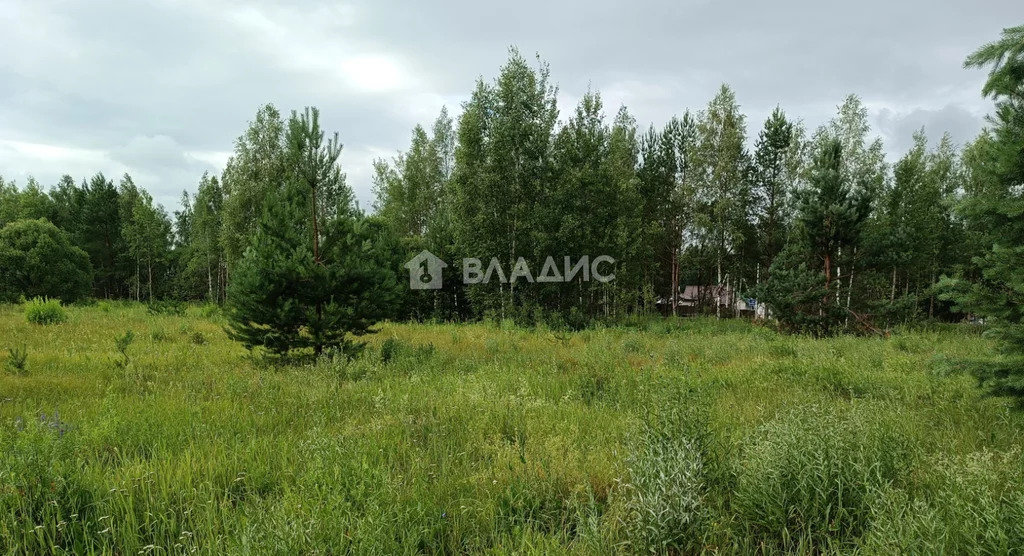 Судогодский район, деревня Аксёново, земля на продажу - Фото 0