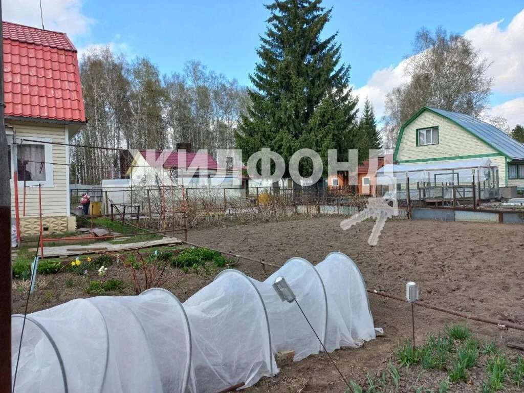 Продажа дома, Бердск, снт Урожай - Фото 5