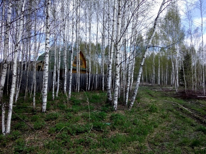 Купить Землю В Борском Районе Нижегородской