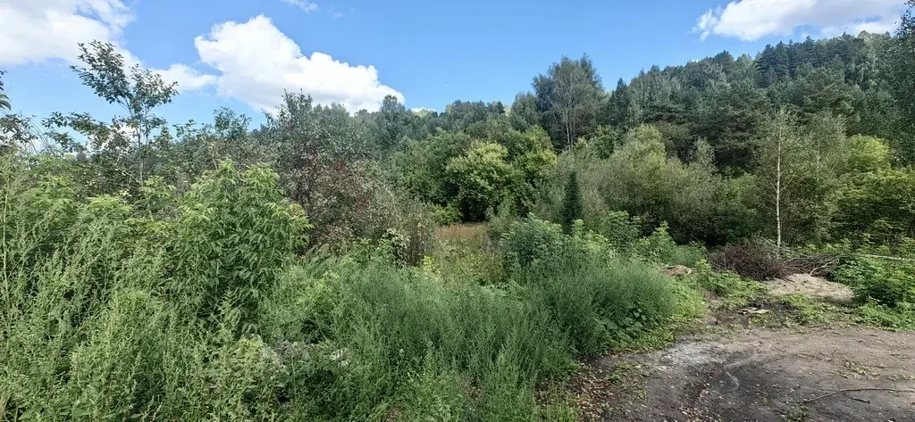 Живописный участок в Белокурихе от собственника! - Фото 1