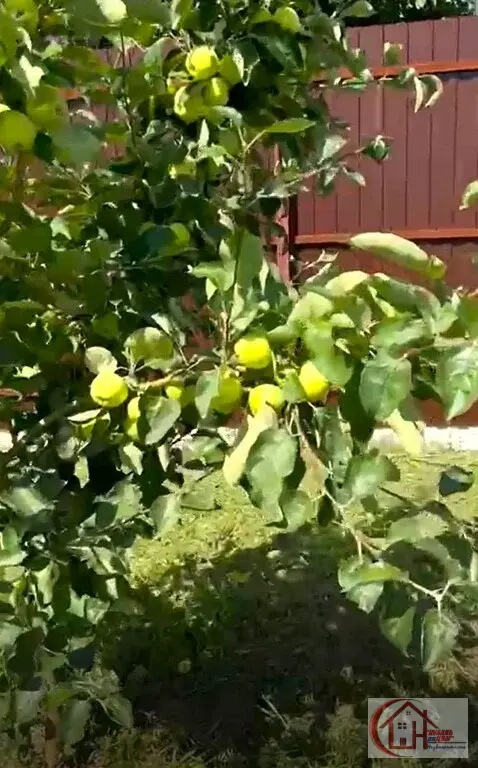 Участок-6 сот. пос. Знаменский, г. Краснодар - Фото 20