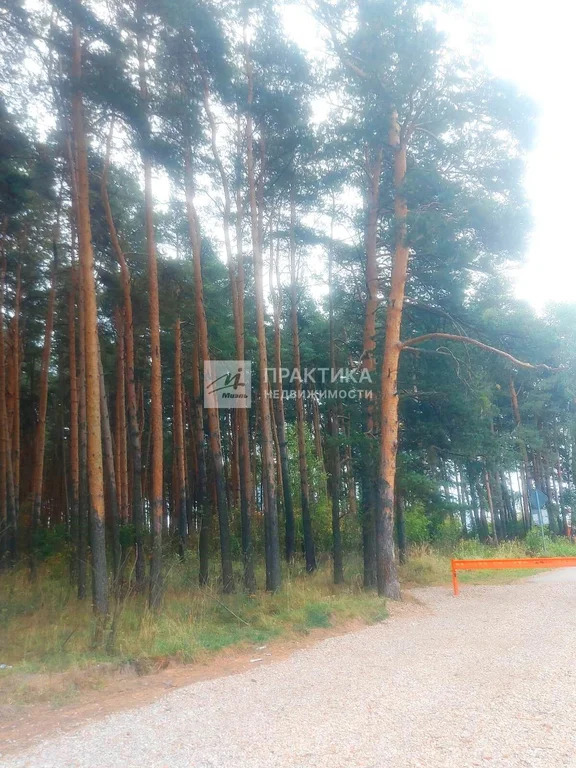 Продажа дома, Лесные Поляны, Щелковский район, Сосновая улица - Фото 11