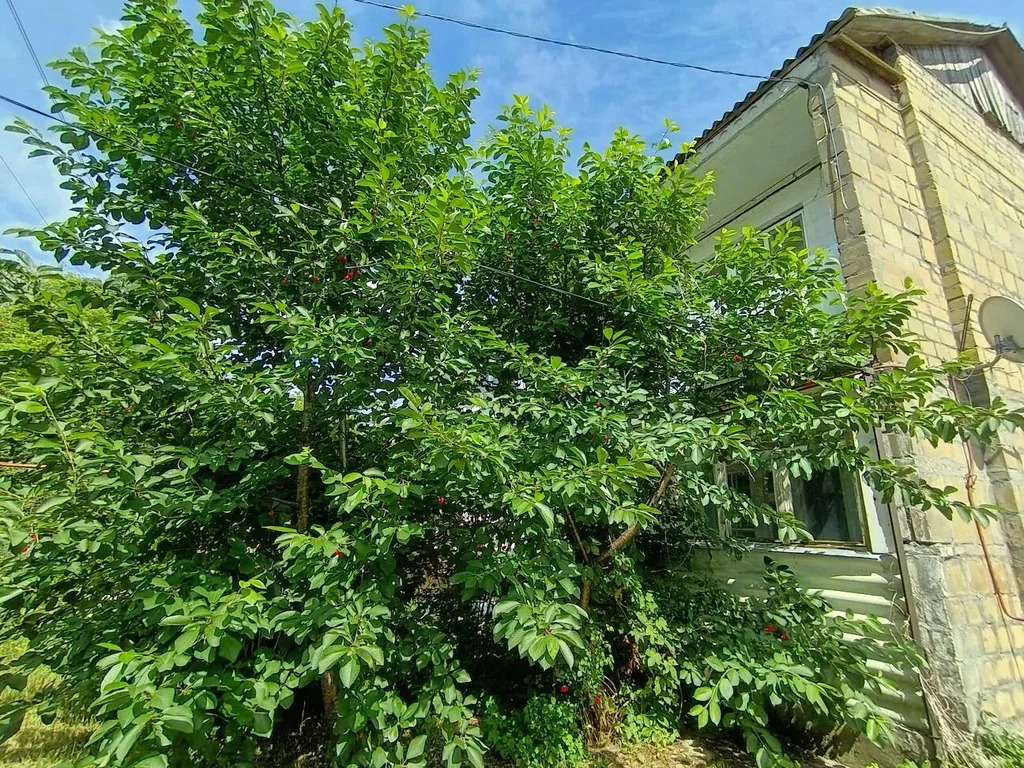 Продажа квартиры, Виноградный, Крымский район, ул. Молодежная - Фото 4
