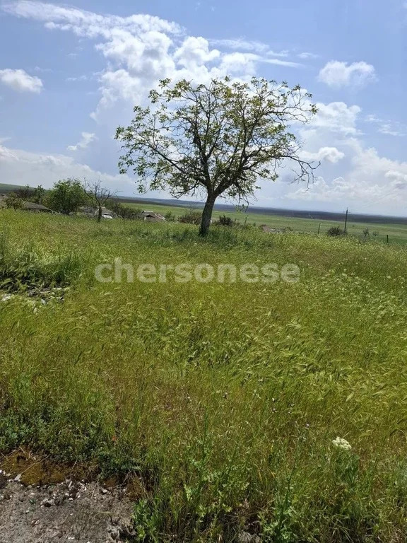 Продажа участка, Равнополье, Симферопольский район, ул. Калинина - Фото 1