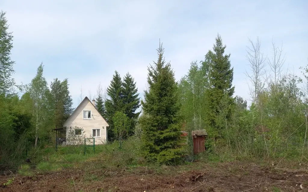 Продаю садовый домик с участком в Шевелёво - Фото 5