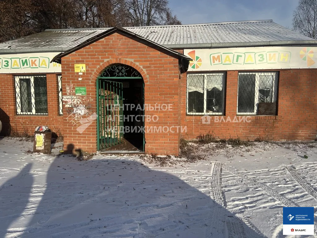 Продажа ПСН, Секиотово, Рязанский район, Центральная улица - Фото 2