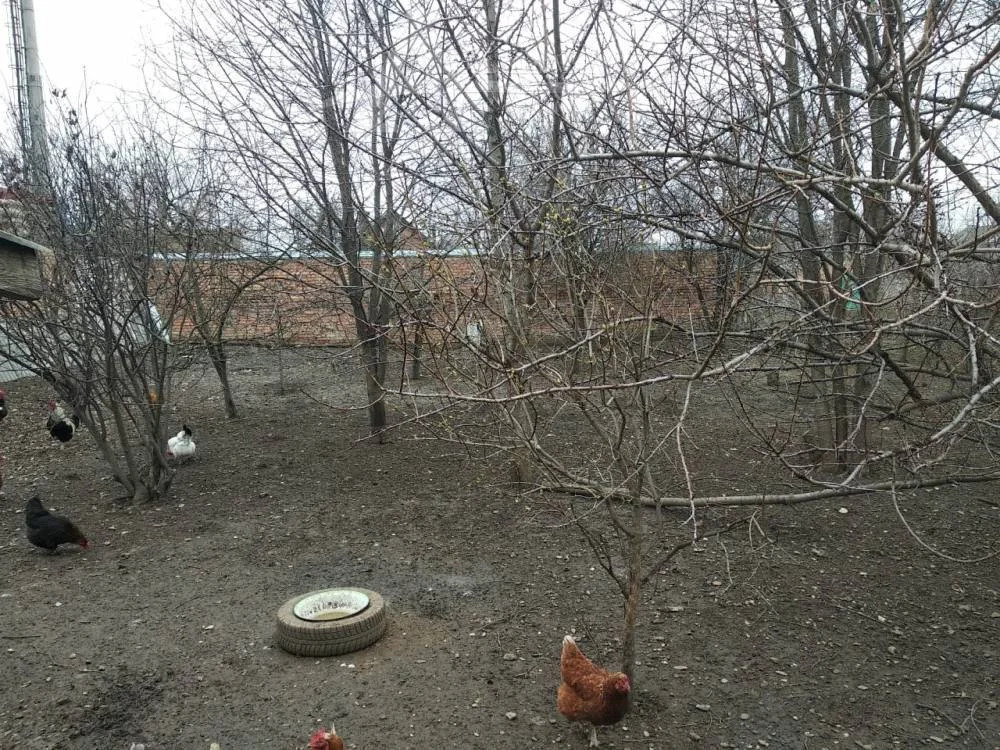 Продажа дома, Георгиевск, ул. Ленина - Фото 19