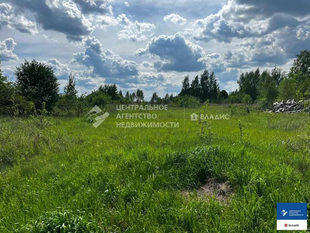 Продажа участка, Сушки, Спасский район, ул. Тихая - Фото 0