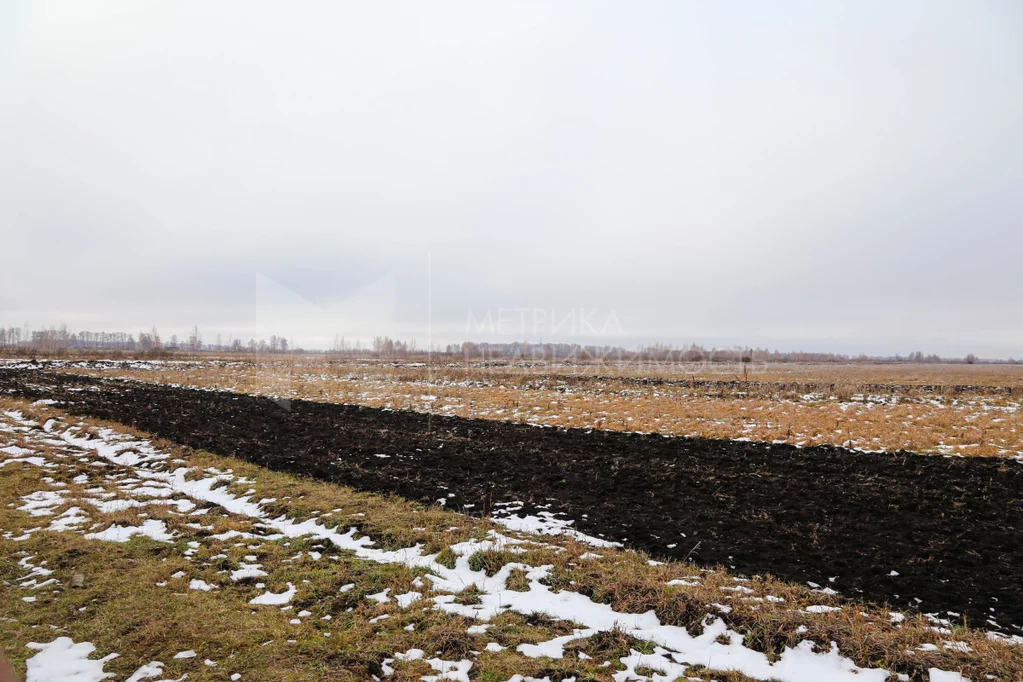 Продажа земельного участка, Тюменский район, Тюменский р-н - Фото 4