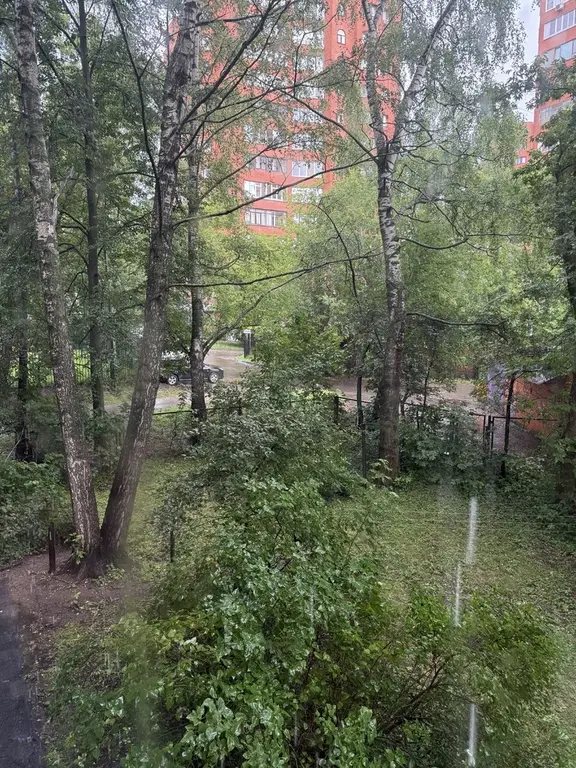 3-х комнатная квартира сремонтом в тихом месте - Фото 10