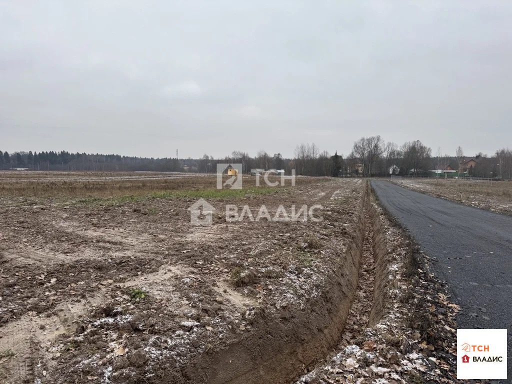 городской округ Пушкинский, коттеджный посёлок Калистово,  земля на ... - Фото 3