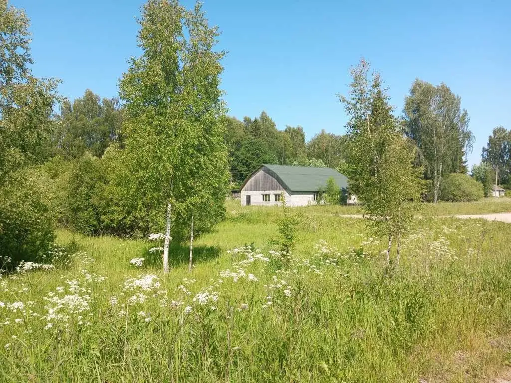 Продажа 436 га с административным зданием и фермой, 170 км от МКАД - Фото 11