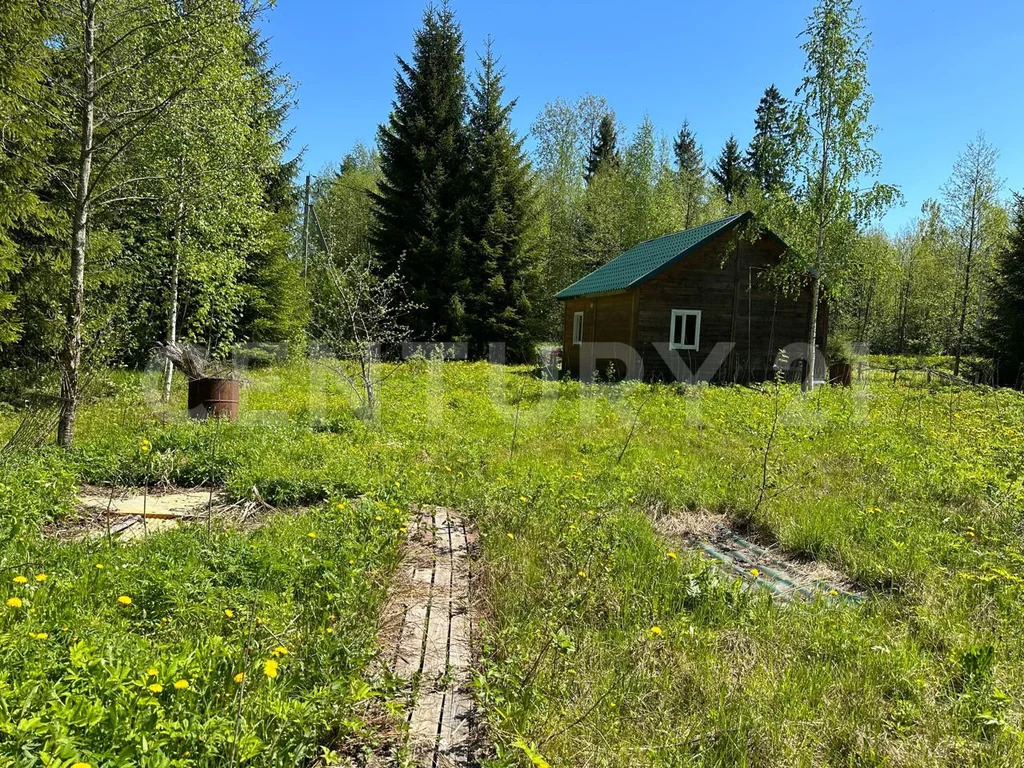 продажа дома, снт надежда массива радофинниково, тосненский район, снт . - Фото 26