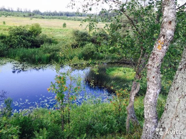 тёмкино деревня смоленская область. селенки смоленская область деревня. шашурки темкинский район смоленская область. деревня кобелево темкинский район. нарытка темкинский район смоленская область.