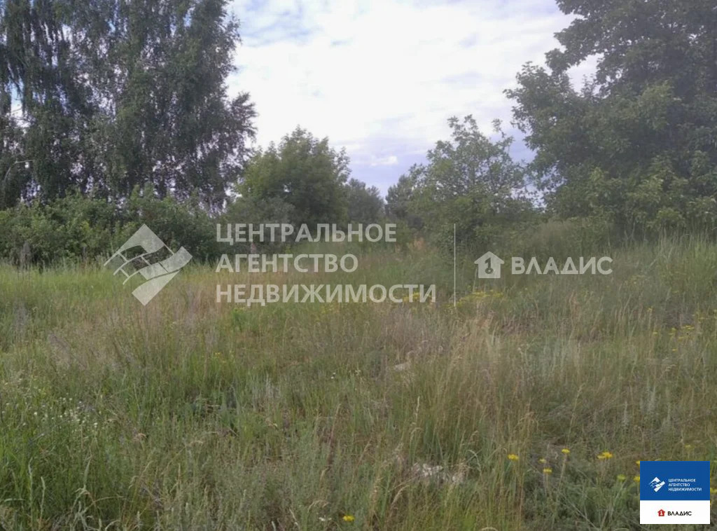Продажа участка, Федотьево, Спасский район, ул. Центральная - Фото 6