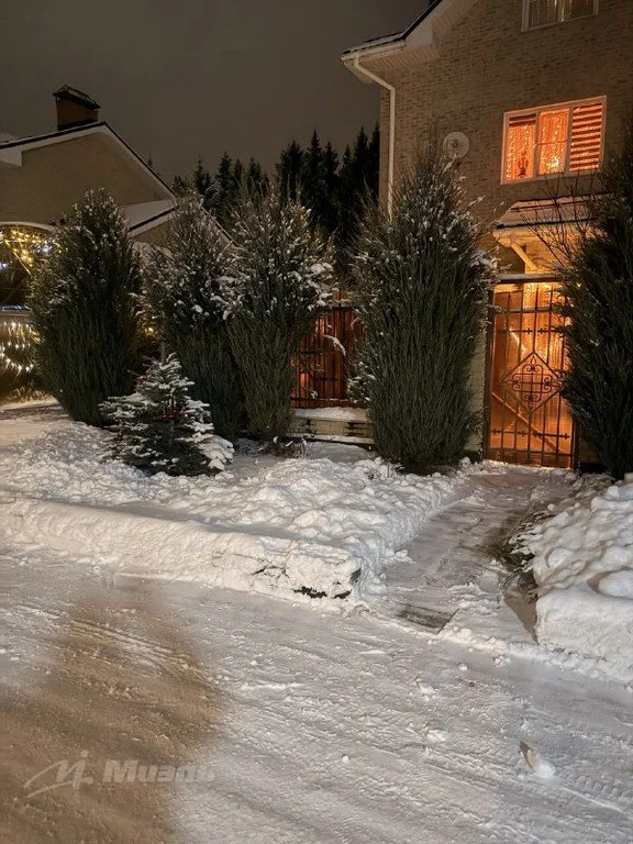 Объект 554486 - Фото 12